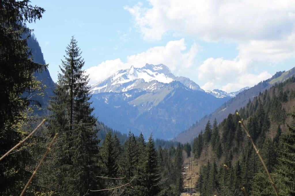 Chalet Avenir Saint-Jean-dʼAulps Εξωτερικό φωτογραφία